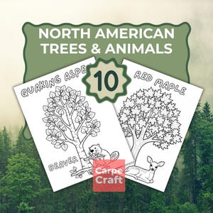 May include: A set of two coloring pages featuring North American trees and animals. One page shows a Quaking Aspen with a beaver, and the other shows a Red Maple with a deer. The set includes the number 10.