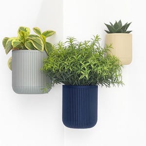 May include: Three wall-mounted planters in grey, navy blue, and beige, each holding a different plant. The plants include a succulent, a leafy green plant, and a plant with yellow and green leaves. The planters have vertical ribbed detailing.
