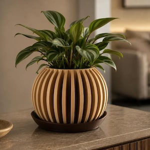Puede incluir: Una maceta redonda de color claro con un diseño de nervaduras verticales, que descansa sobre un plato circular de color marrón oscuro. La maceta contiene una planta verde exuberante con hojas puntiagudas y rayadas. La estructura presenta listones espaciados uniformemente que crean una apariencia esférica texturizada.