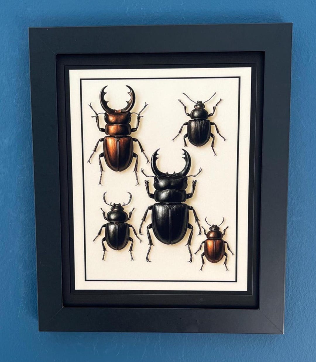 Stag Beetle Wall Art Print, Vintage Insect Illustration, Entomology ...