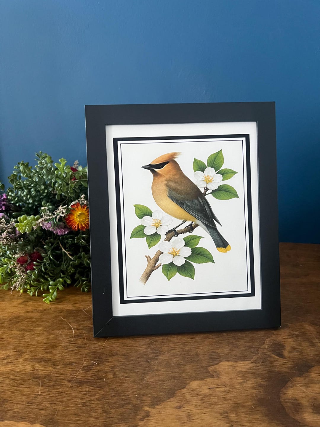 Bird With White Blossoms – Botanical Bird Art Print - Etsy