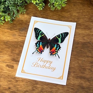 May include: A white greeting card with a gold border and the words "Happy Birthday" in gold script. A colorful butterfly with green, blue, orange, and black wings is centered on the card. The card is on a wooden surface.