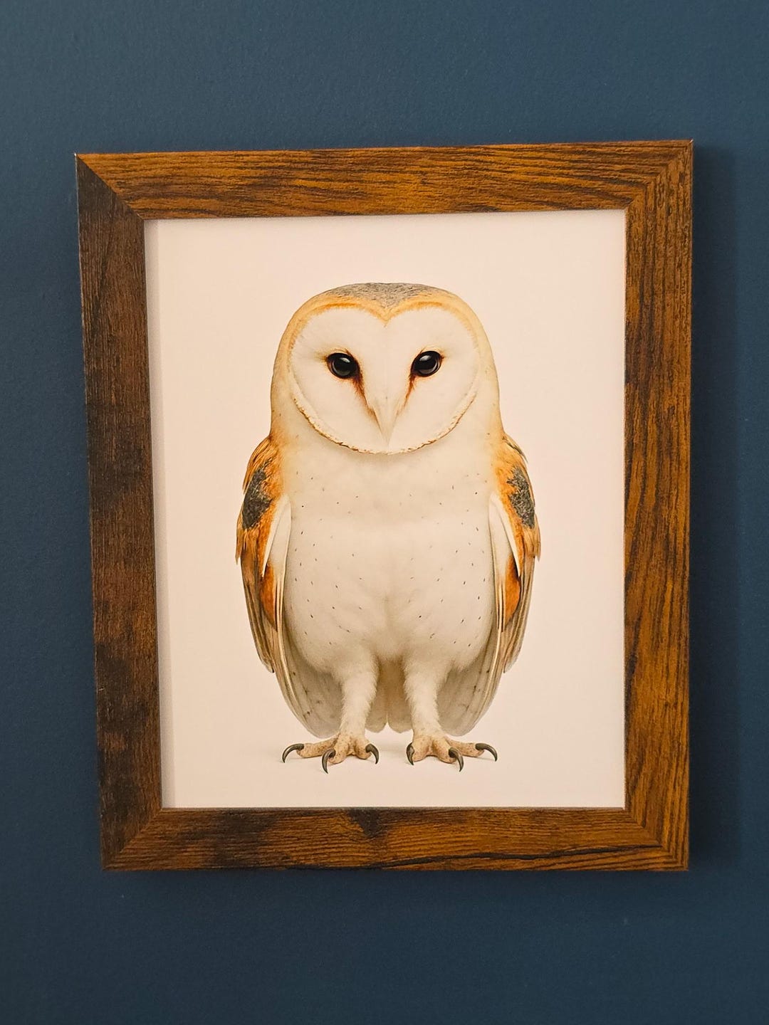 Barn Owl Wall Art 8x10 Print, Rustic Cottage Decor - Etsy