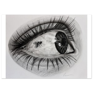 Pode incluir: Um desenho a grafite em preto e branco de um olho humano com cílios longos e detalhados. Uma mosca pequena e realista é retratada pousada na parte branca do olho, perto da íris escura. A obra de arte apresenta uma assinatura no canto inferior direito.