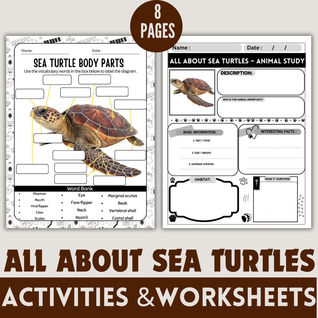 Sea Turtle Worksheet.pdf All About Sea Turtles Worksheet for Kids, Sea Turtle Anatomy Labeling ...