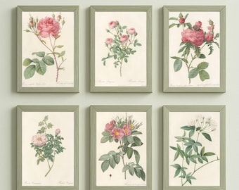 Set of 6 Vintage Botanical Prints – Antique Flower Illustrations – Gallery Wall Art Instant Download