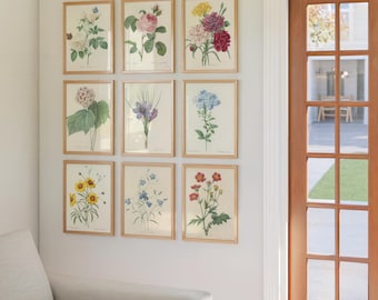 Ensemble d'estampes botaniques vintage – Galerie murale florale antique (Téléchargement numérique)