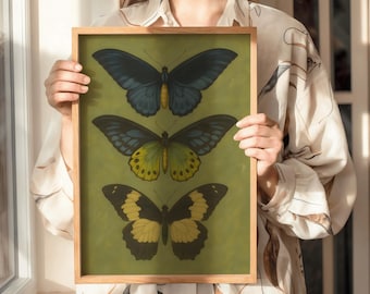 Vintage Butterflies Print – Antique Butterfly Illustration – Gallery Wall Art- Digital Download