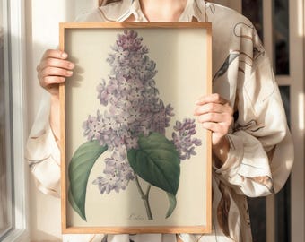 Vintage Lilac Botanical Print | Antique Floral Illustration, Spring Wall Art (Digital Download)