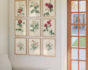 Juego de 9 láminas botánicas vintage – Ilustraciones florales antiguas – Arte para pared de galería (descarga instantánea)