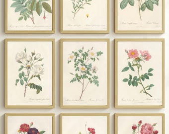 Set of 9 Vintage Botanical Prints – Antique Flower Illustrations – Gallery Wall Art Instant Download