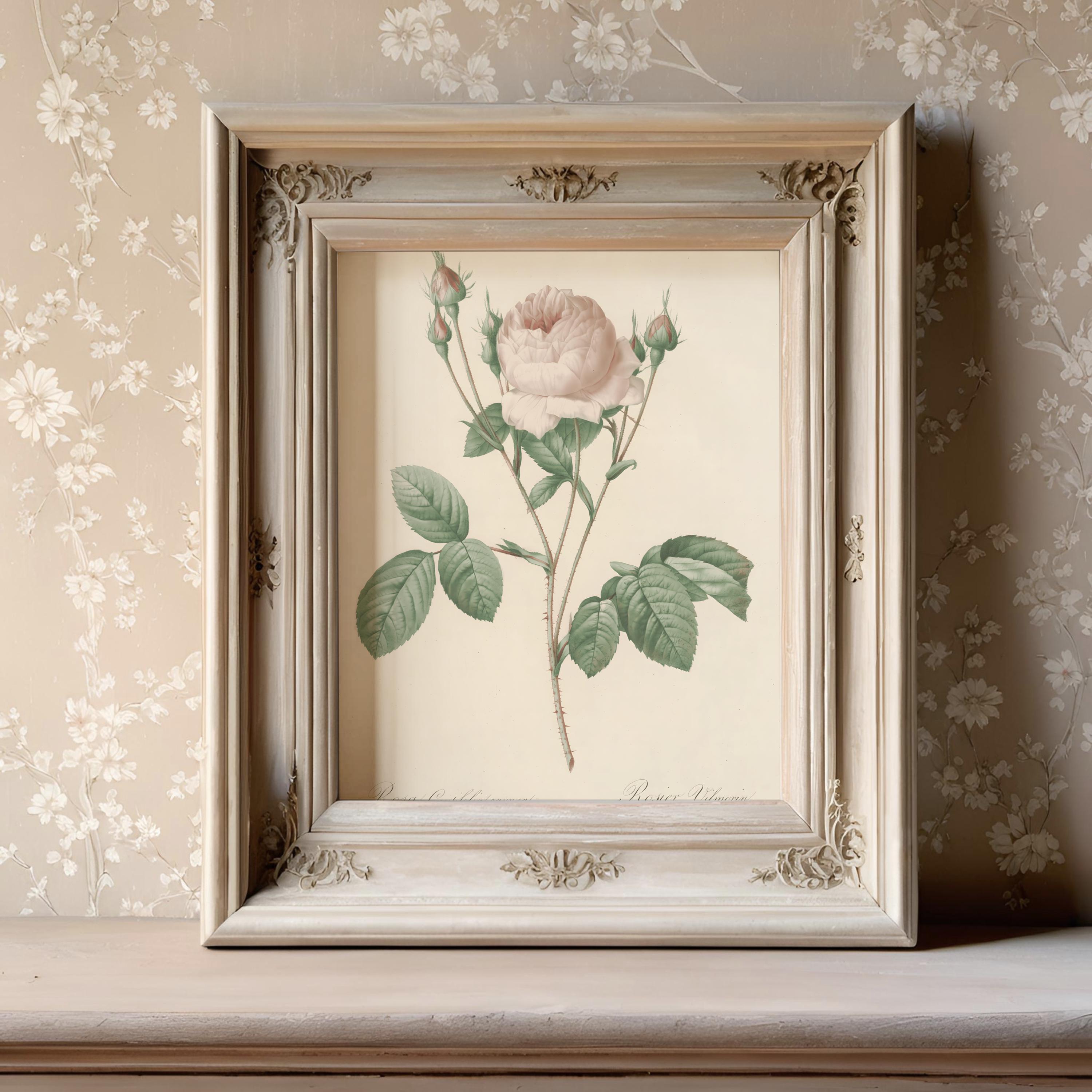 Set of 9 Vintage Botanical Prints – Antique Flower Illustrations ...