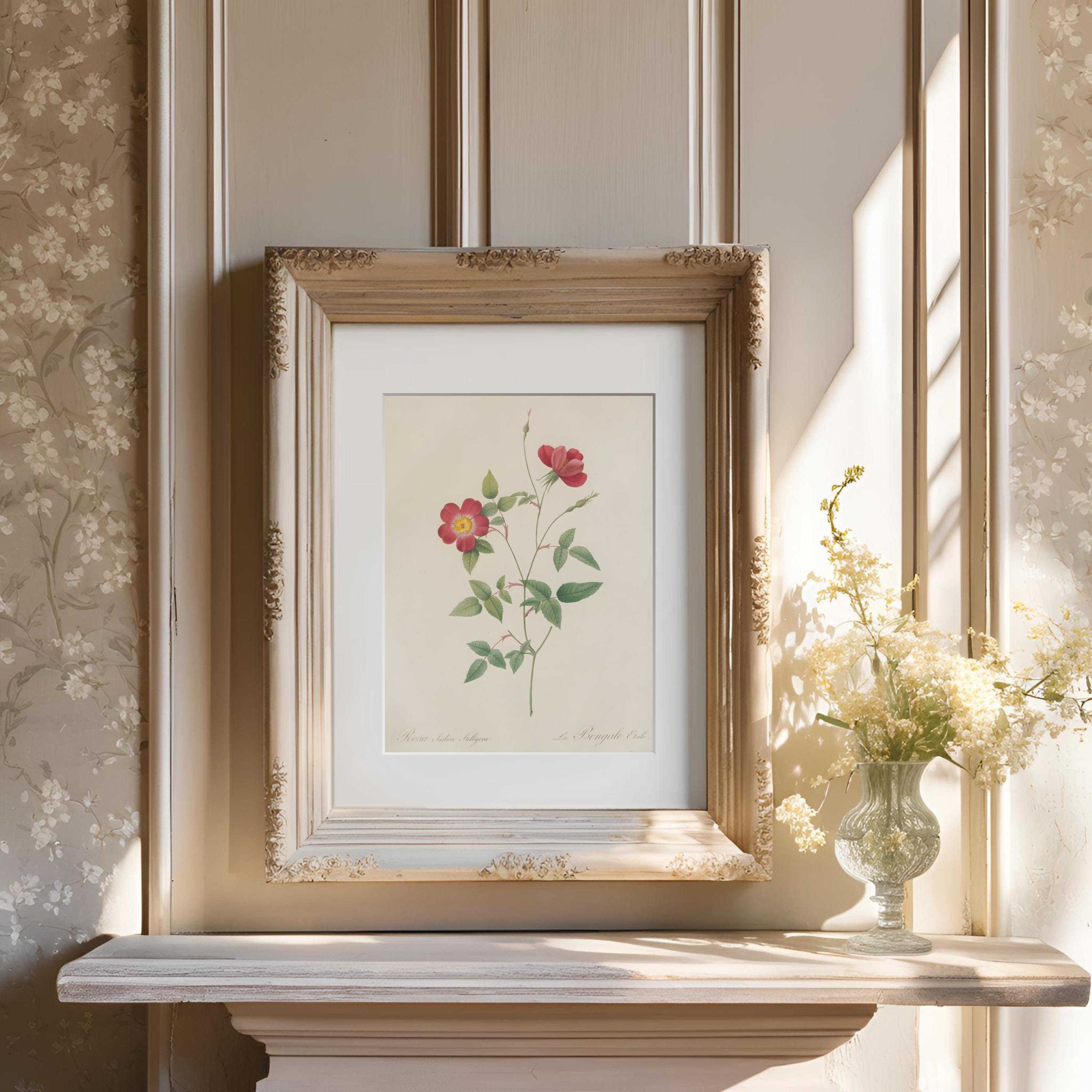 Set of 9 Vintage Botanical Prints – Antique Flower Illustrations ...