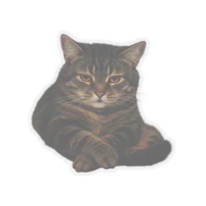 Unisex Sad Cat Meme Stickers and Crying Cat Stickers