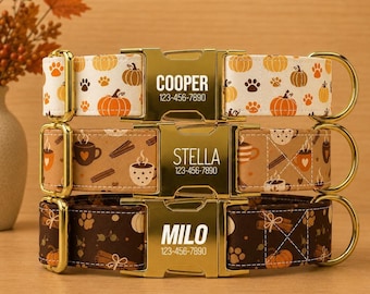 Fall Spices Personalized Dog Collar with Leash, Custom Name Pet Dog Collar TPTSS-64