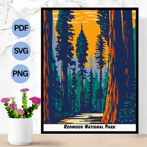 Paint-By-Number Redwood National Park Paint-by-Number: Printable Landscape Art (Digital Download)
