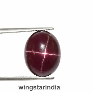 Può includere: Una gemma lucida, di forma ovale, di colore rosso scuro, con un motivo a forma di stella. La gemma è tenuta da una pinzetta argentata su sfondo bianco. Il testo "wingstarindia" è visibile in basso.