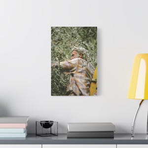 Olive Tree, Palestinian Wall Art, Stretched Canvas