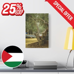 Olive Tree, Palestinian Wall Art, Stretched Canvas