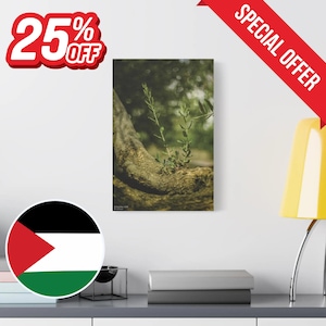 Olive Tree, Palestinian Wall Art, Stretched Canvas