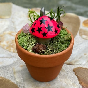 May include: A small terracotta pot with a pink and black mushroom with black stars on top. The pot is filled with green moss and small pink and brown rocks.