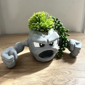 May include: A grey, rock-shaped planter featuring a character with a wide, open mouth, furrowed brows, and two outstretched arms with clenched fists. The planter holds a bright green, spiky plant and a trailing string of green beads.