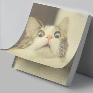 Funny Cat Meme Sticky Notes Post-it Note Pad | 4" x 4" - 50 Pages