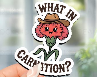 Grappig wat in anjer cowboybloem sticker schattige western woordspeling vinyl sticker voor waterflessen, laptops en tijdschriften