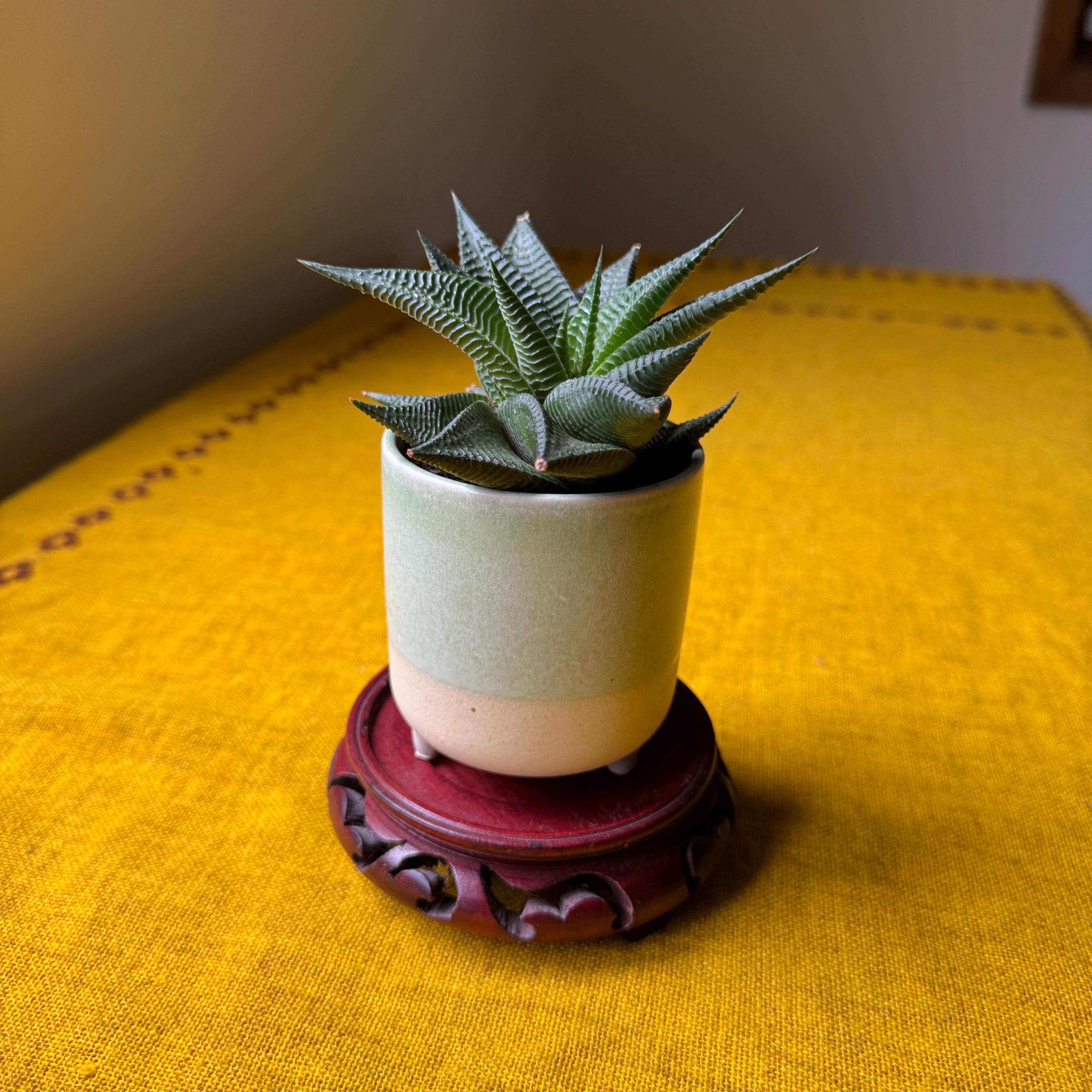 Vintage Bonsai Plant Stands - Etsy