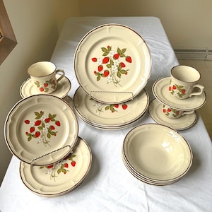 Vintage Susanne by Newcor Strawberry Print Stoneware Plate Set - 20-piece