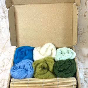 100% Nassfilz-Herstellungsset Anfänger Starterset Basteln Geschenk Hillside Colors Wolle