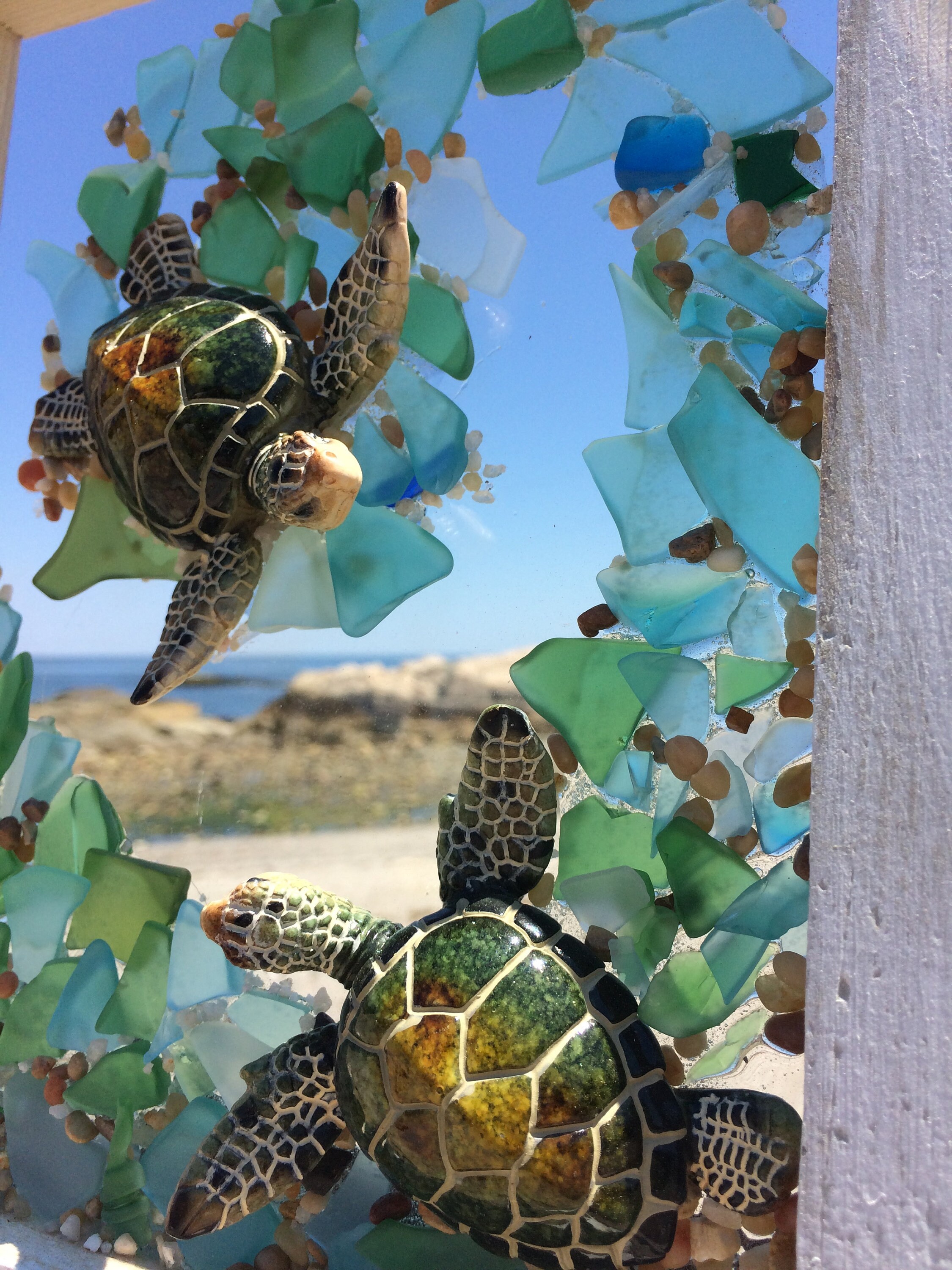 Two baby sea turtles playing in the waves