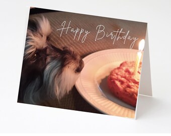 Schnauzer Birthday Cards - Set of 10