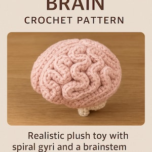 May include: A crocheted plush brain in shades of pink and cream, with detailed spiral gyri and a brainstem. The image includes the text "AMIGURUMI BRAIN CROCHET PATTERN" and "DIGITAL CROCHET PATTERN".