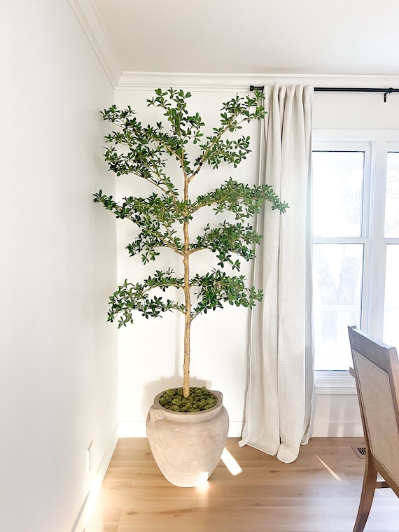 Faux Black Olive, Shady Lady Tree 7’ Tall UV Treated