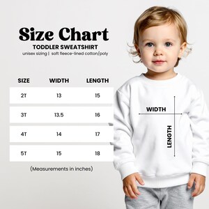 Embroidered Mama Dad Mini Matching Sweatshirts, Family Matching Outfits with Baby Bodysuit or Romper, Coming Home Set image 12
