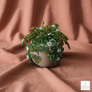 May include: A beaded plant in a small, light brown pot. The plant features green leaves and small white flowers. The pot is sitting on a pink fabric surface. The image includes the text "BEADS IN BLOSSOM".