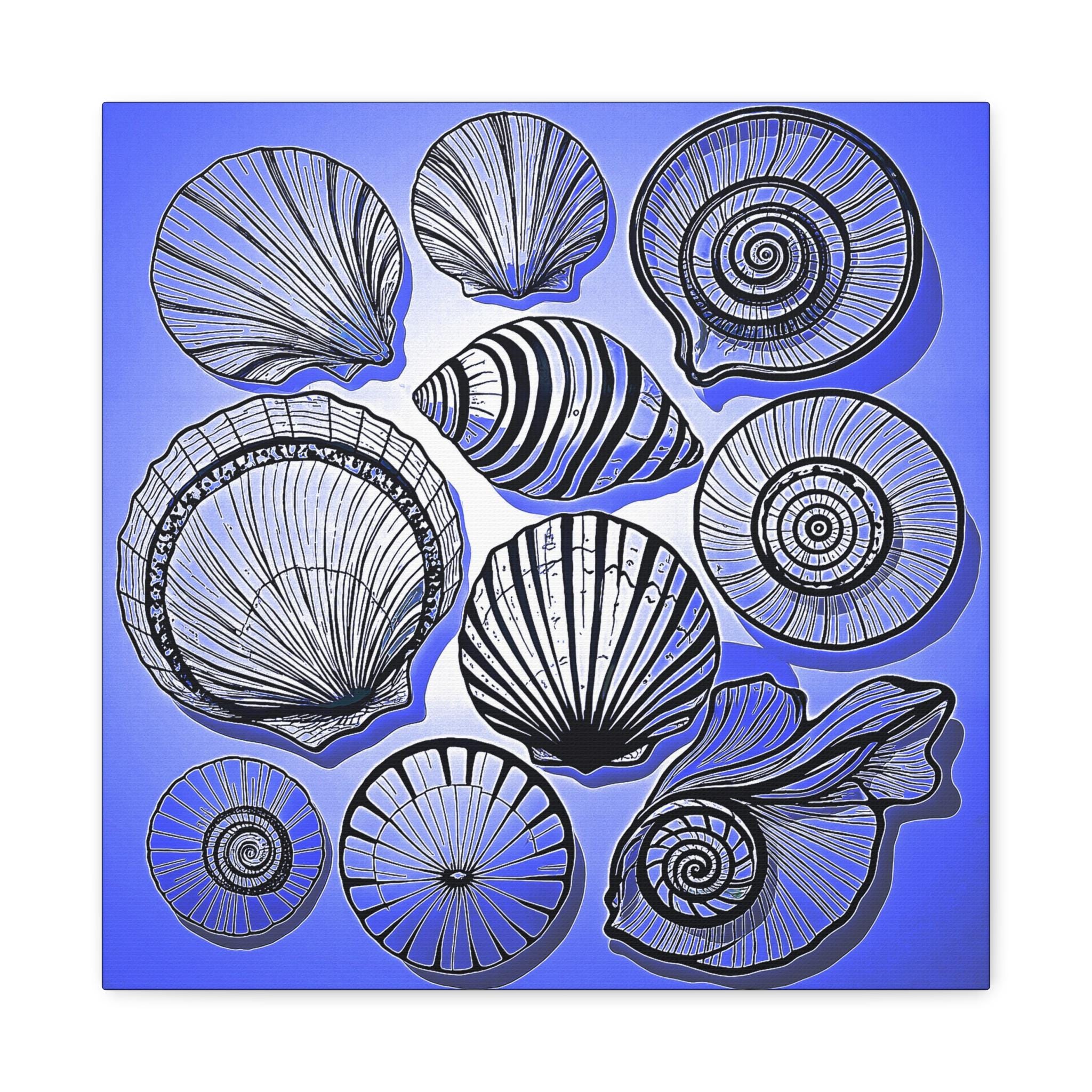 Shells 2 - Canvas Wall Art