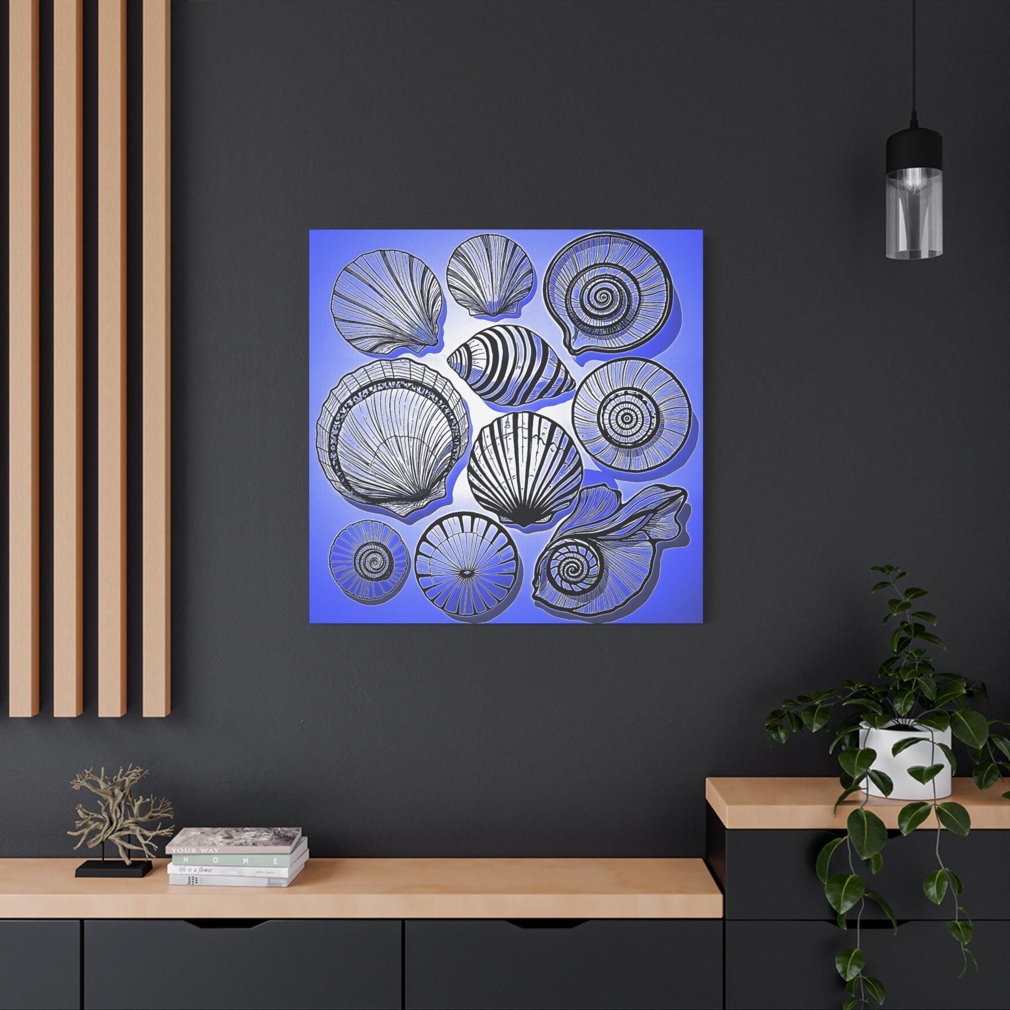 Shells 2 - Canvas Wall Art