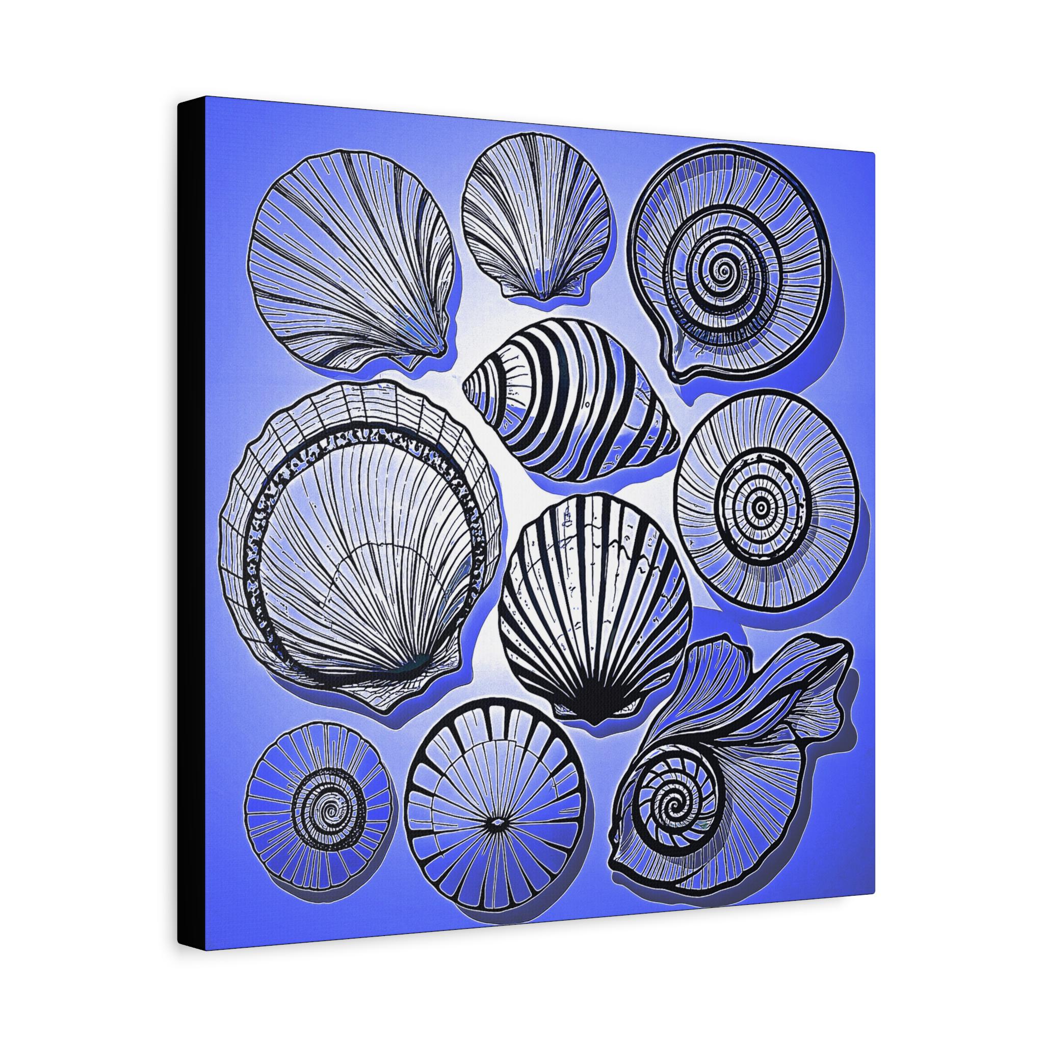 Shells 2 - Canvas Wall Art
