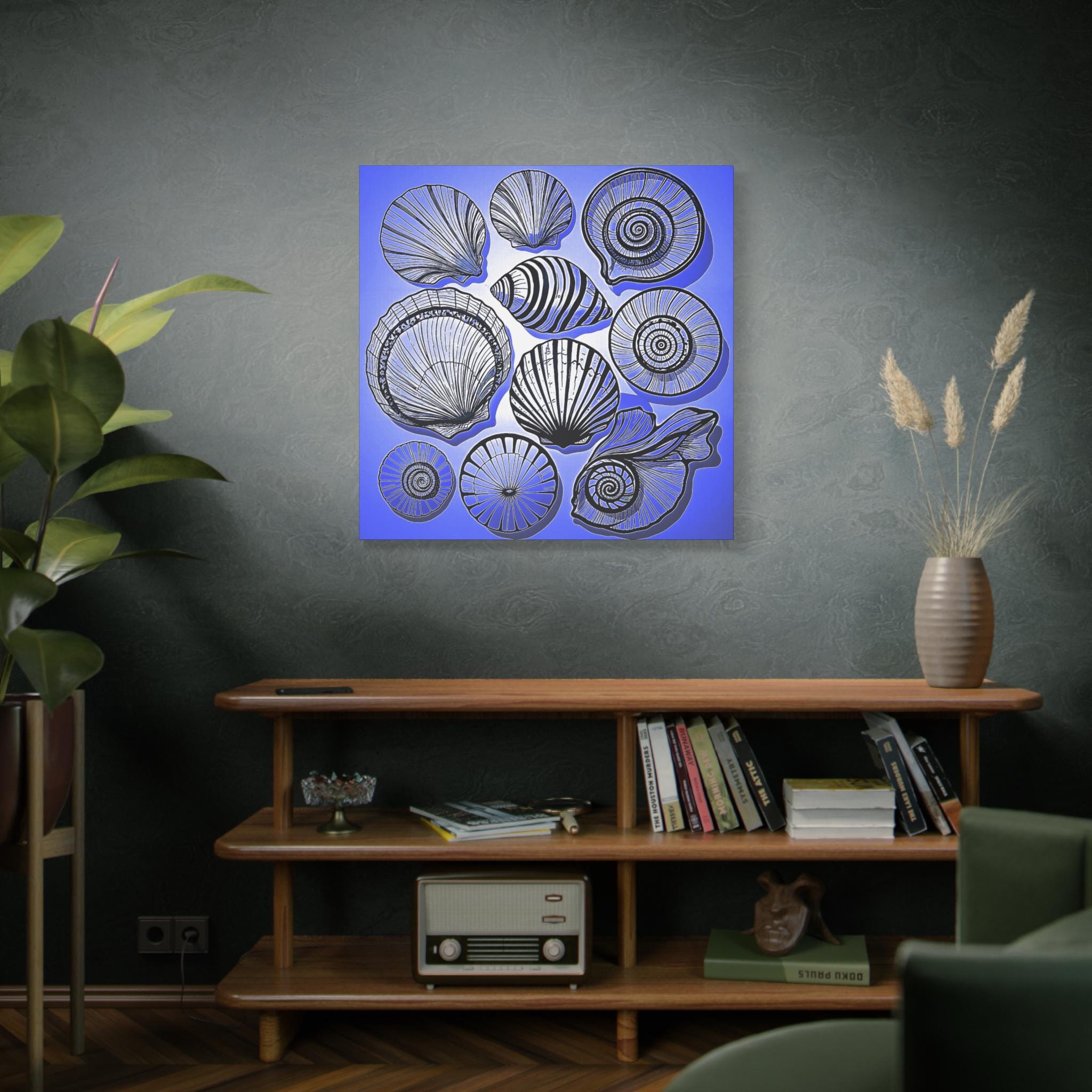 Shells 2 - Canvas Wall Art