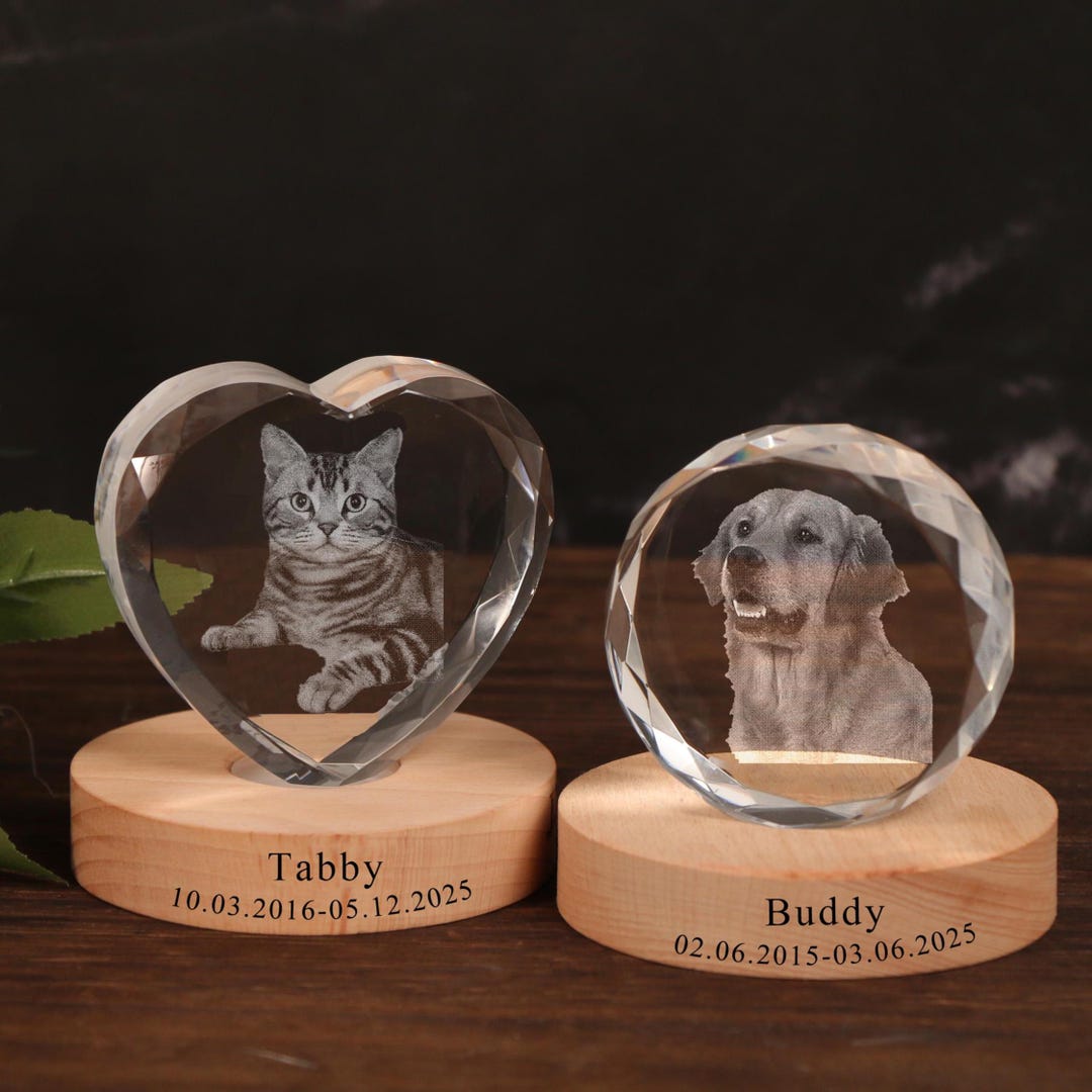 Custom 3D Crystal Pet Memorial Photo Night Light，personalised Pet ...