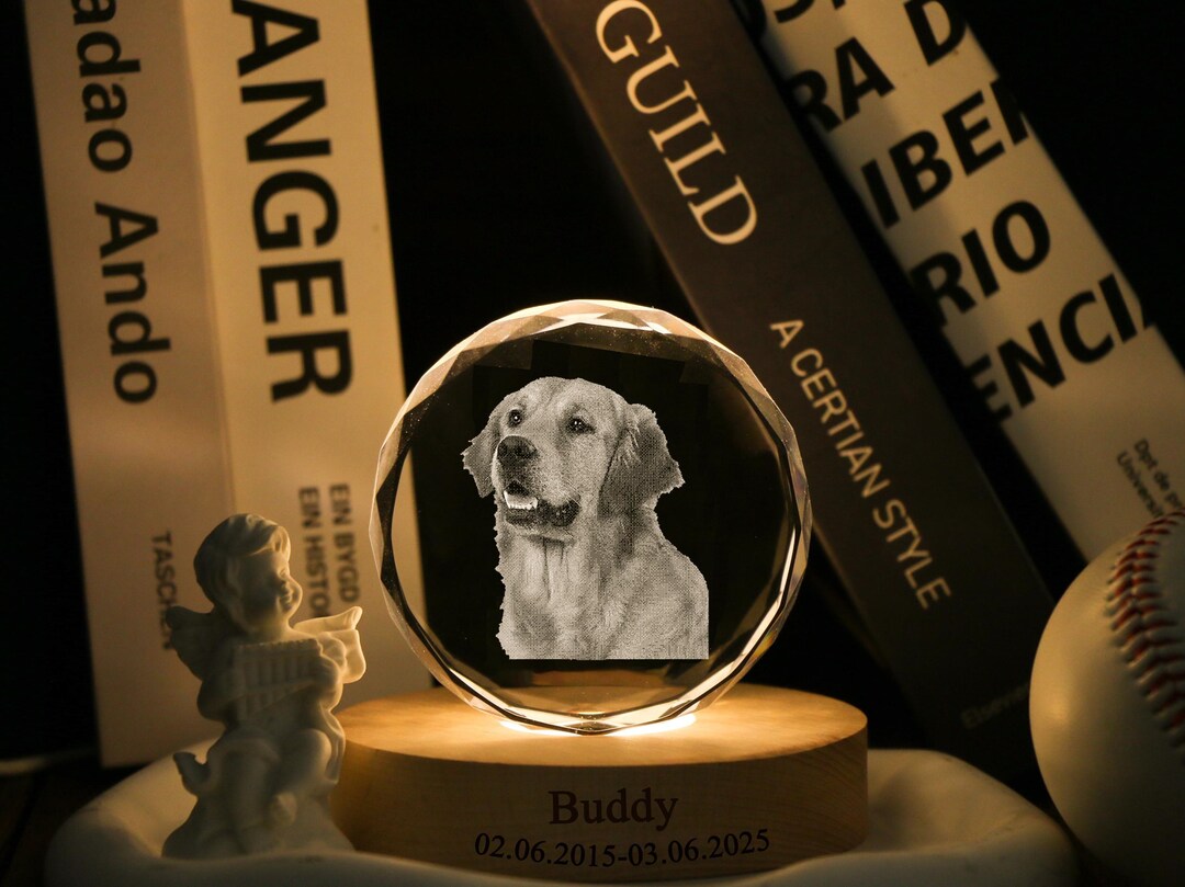 Custom 3D Crystal Pet Memorial Photo Night Light，personalised Pet ...