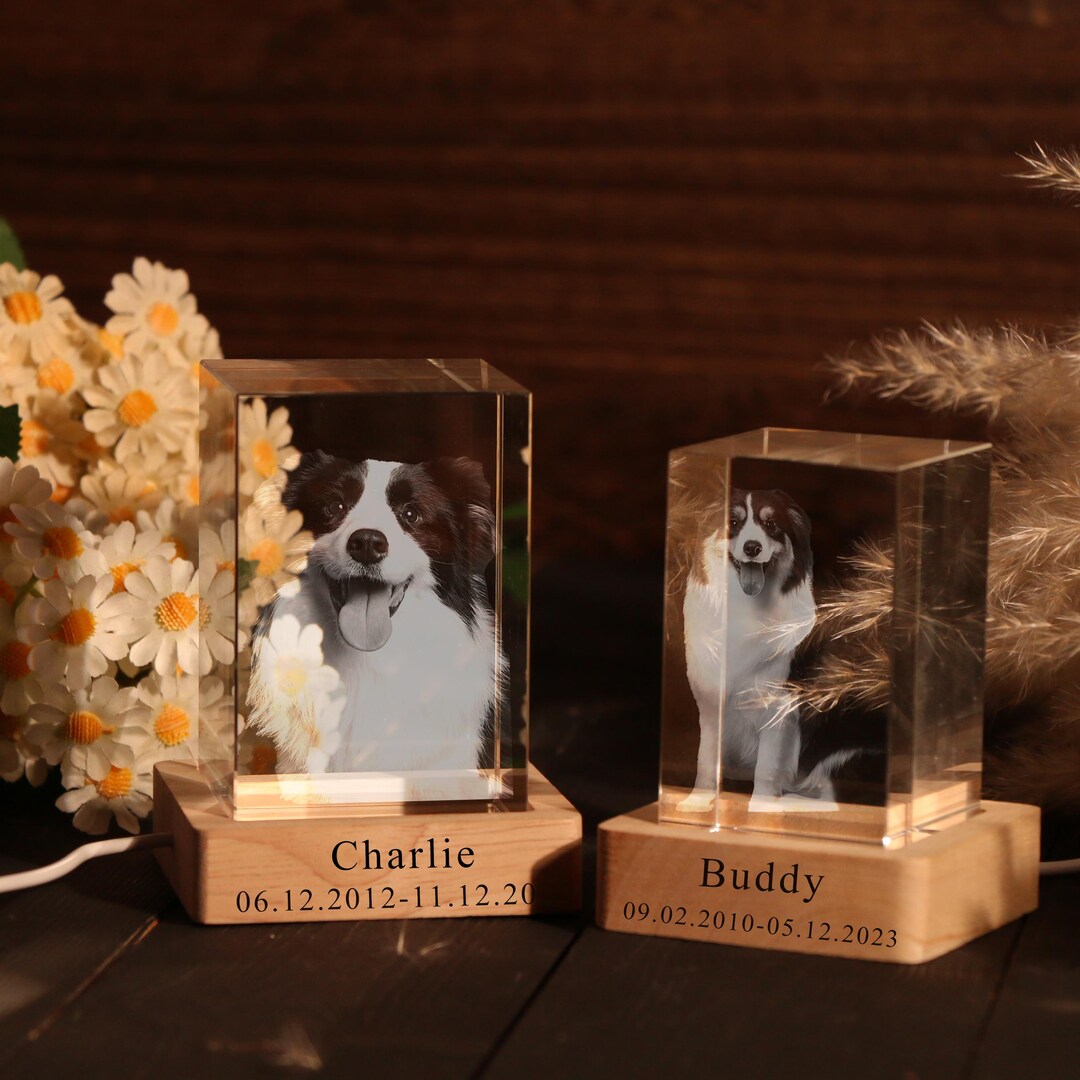 Custom 3D Crystal Pet Memorial Photo Night Light,personalised Pet ...