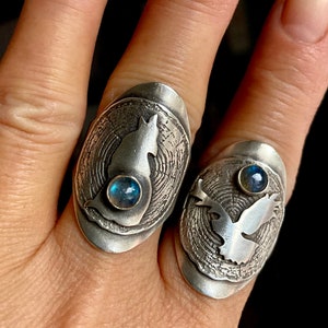 Op de afbeelding: Twee zilveren ringen met een boomringontwerp. Elke ring heeft een ander vogelsilhouet en een blauwe edelsteen.