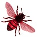 Avatar belonging to TheRubyBee