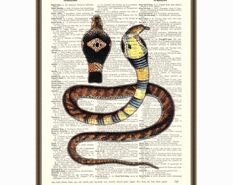 Vintage snake print, reptile head art, watercolor illustration, woodland animal poster, gift for him, farmhouse wall decor, kid's room.