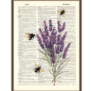 May include: A vintage dictionary page with a botanical illustration of lavender flowers and three bumblebees. The page includes definitions for the words "form" and "formulate".