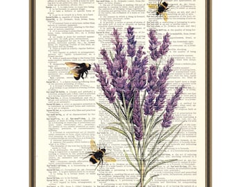 Lavender and bees print, retro bumble bees, lavender flowers, honey bees poster, farmhouse decor, gift for Mom, botanical illustration.