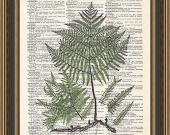 Fern print vintage illustration # 1 print on a vintage dictionary page, Fern Wall Art, Fern Poster, Woodland Art, Botanical Wall Decor,